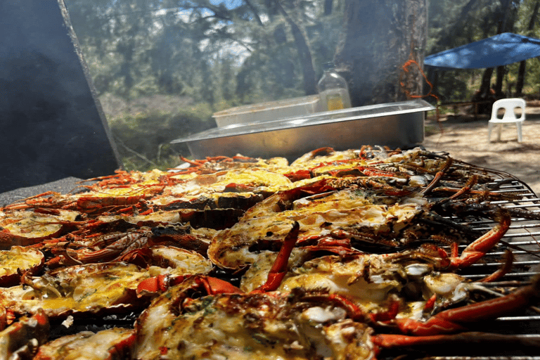 Bateau privé à l&#039;Île aux Bénitiers : Plongée en apnée avec les dauphins et homardBateau privé Île aux Bénitiers : Nage avec les dauphins et homard
