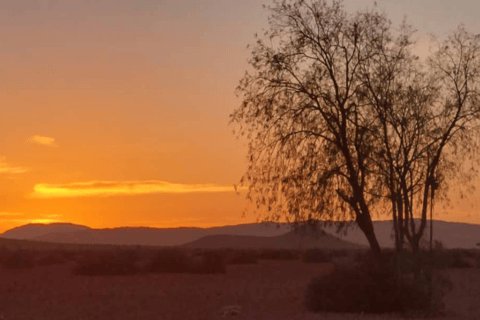 From Swakopmund: Budget Sossusvlei Guided 2-Day Trip