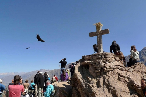 Chivay + the viewpoint of the Colca Canyon |Condors|