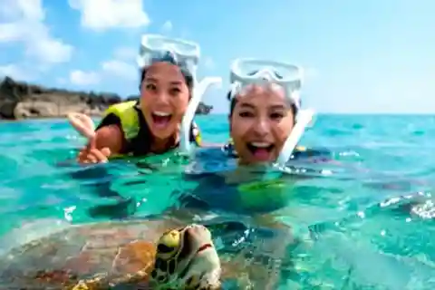 Bohol: Island Hopping med sköldpaddor, delfiner och snorkling