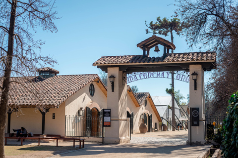 CONCHA Y TORO VINEYARD