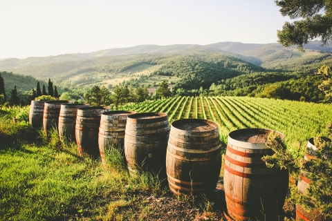 Experiencia vinícola Toscana-Lacio de día completoRecogida en el puerto y el centro de la ciudad de Civitavecchia