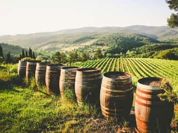 Da Civitavecchia: Tour enologico Toscana-Lazio con degustazioni