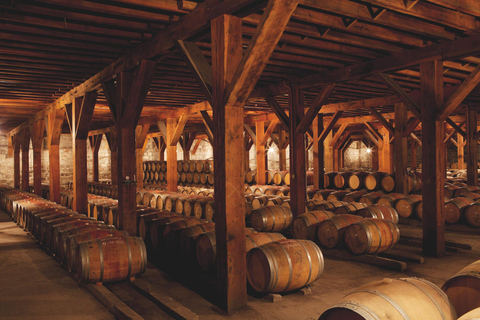 Santiago: Santa Rita Premium Winery Tour & 5 Wine Tasting