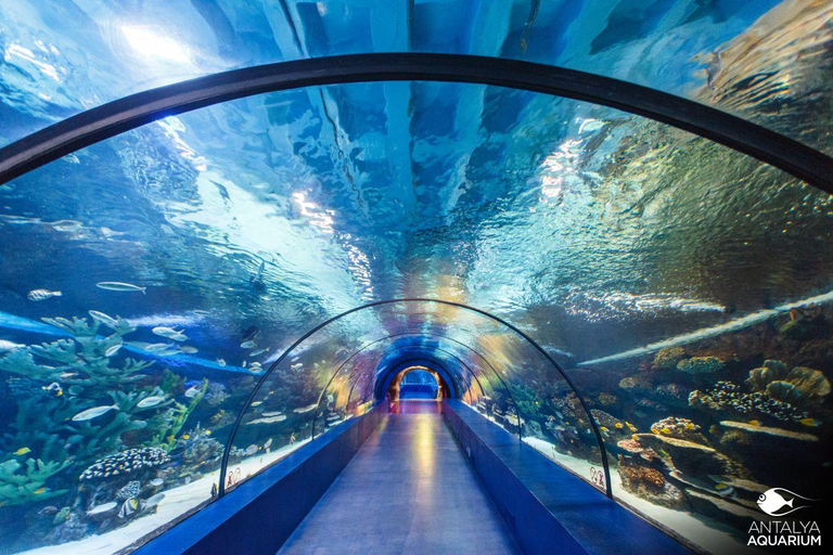 Antalya: Aquarium Tour with Hotel Pickup & Combo Options Antalya Aquarium & Wax Museum Entry Ticket