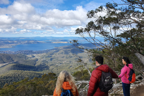 Desde Hobart Tour a pie matinal del monte Wellington