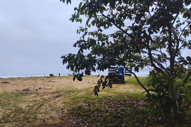 Private Kayaking Adventure: a 2-hour Wildlife Escape Self-Guided Kayaking Adventure: a 2-hour Wildlife Escape