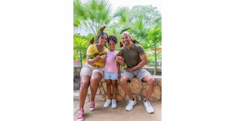 San Antonio Zoo Any Day Ticket photo 17