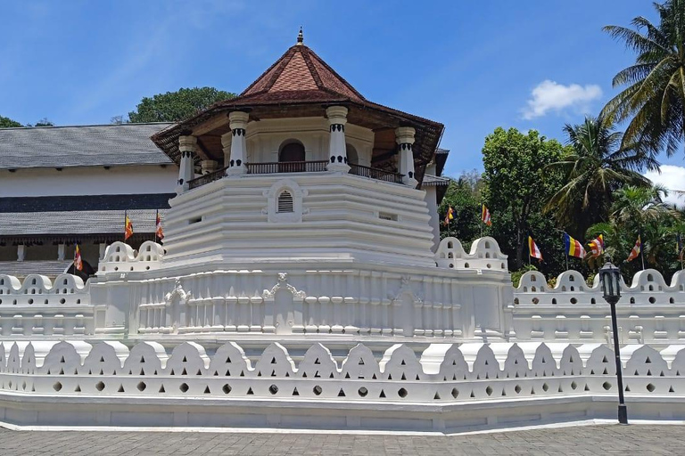 Colombo: Kandy Day Trip with Tooth Temple, Tea Factory Visit