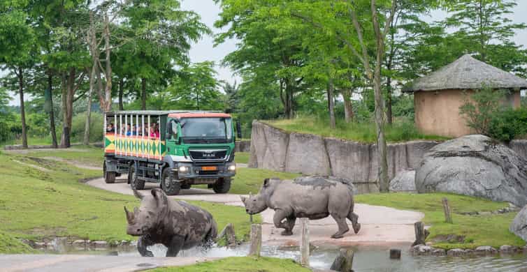 Emmen: Wildlands Adventure Zoo and Rimbula River Boat Ride photo 5