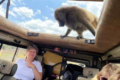 Desde Zanzíbar: Safari de 3 días en Serenget y Ngorongoro, tour privado