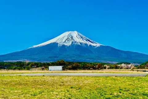 東京：富士山と箱根 1日ツアー（英語ガイド付き）