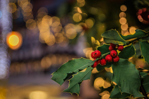 Zurich Christmas Market & Old Town Food Experience