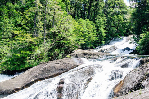 Bariloche: Puerto Blest e cascata Los CantarosPuerto Blest e Cascate di Cántaros - Con trasferimento