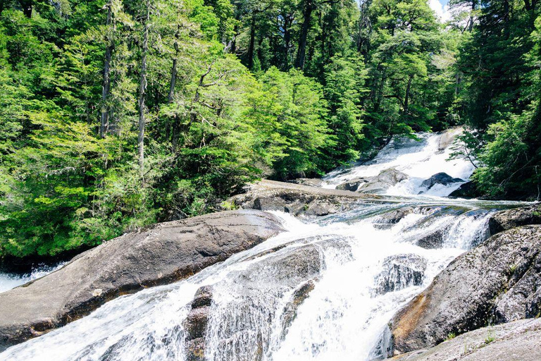 Bariloche: Puerto Blest e cascata Los CantarosPuerto Blest e Cascate di Cántaros - Con trasferimento