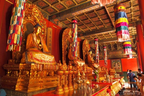 Pékin : Temple de Lama, Temple de Confucius et Musée GuozijianVisite privée avec transfert aller-retour