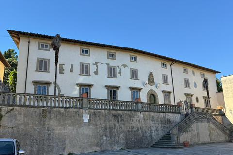 Florence: Private Golf Cart Tour to Fiesole & Roman Sites