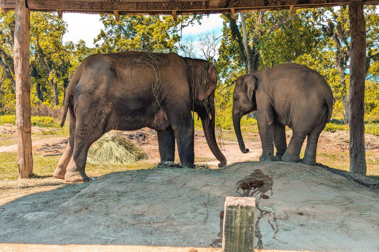 Chitwan: Jungle Safari with Wildlife & Cultural tour 3-Days