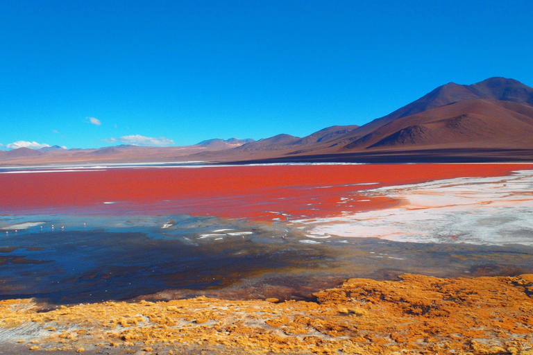 Private 3D excursion to the Salar de Uyuni, colorful lagoons