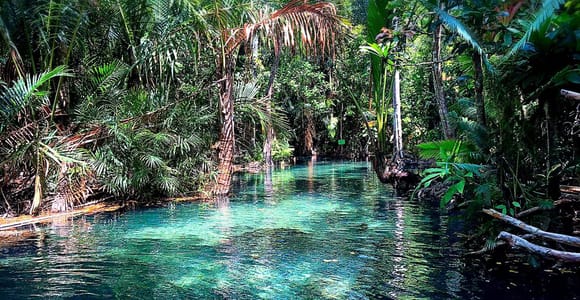 Krabi Klong Root Crystal Lagoon Kayaking Tour | Swim & Relax