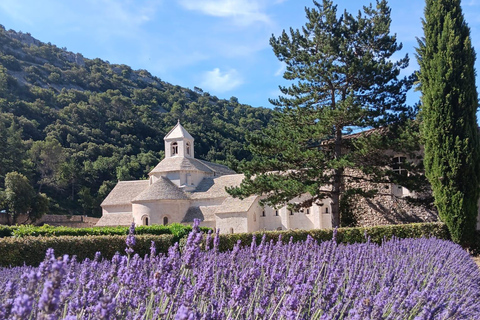 From Avignon: Half-Day Lavender Tour of Luberon From Avignon: Half-Day Afternoon Lavender Tour of Luberon