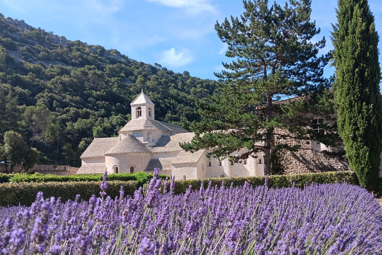 From Avignon: Half-Day Lavender Tour of Luberon From Avignon: Half-Day Afternoon Lavender Tour of Luberon