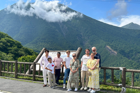 Tour privato di Nikko da e per Tokyo fino a 12 ospitiTour privato di Nikko da e per Tokyo fino a 12 persone