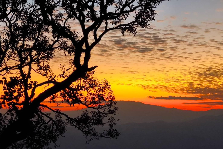 Chiang Mai Sunset Point,Wat Pha Lat,Wat Doi Suthep,Wat Umong