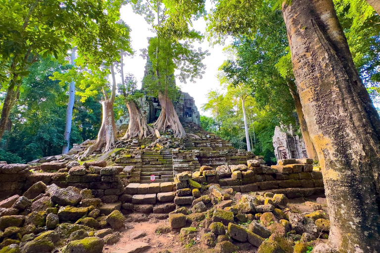 Phnom Penh: 3-Day Siem Reap & Angkor Small Circuit