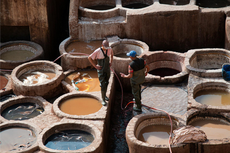 من مراكش: جولة لمدة 4 أيام إلى المدن الإمبراطورية ووليلي