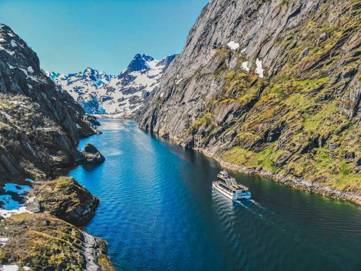 Isole Lofoten: crociera sul Trollfjord in barca silenziosa da Svolvær