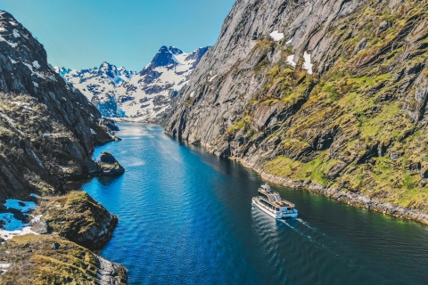 Ze Svolvær: Cichy rejs po Trollfjordzie na Lofotach