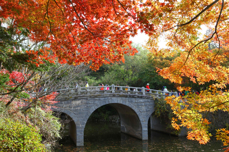 Busan: Gyeongju UNESCO Highlights 6 Hours Express Tour Shared Tour, Meet at Haeundae Station