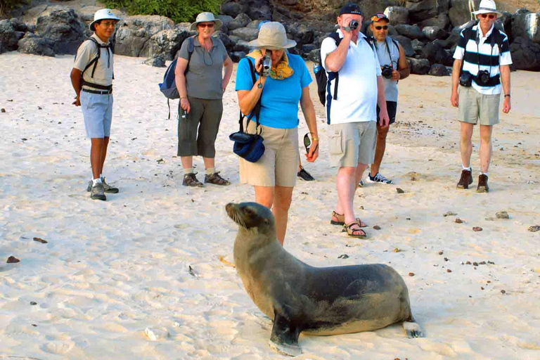 Fly Galápagos Tour único de 9 diasFly Galapagos Unique 9 Days Tour