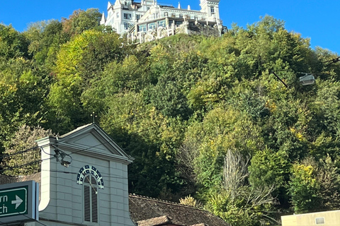 Lucerna: Escursione sul Monte Rigi con giro in barca e treno a cremagliera