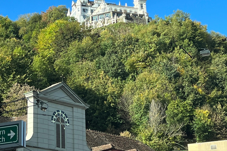 Luzern: Dagtrip naar Mt. Rigi met boottocht en tandradbaan