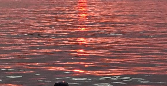 Umag: Romantische Abendtour mit Weinprobe