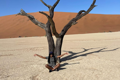 From Windhoek & Swakop: Namib Desert 2-Night Tour with Meals