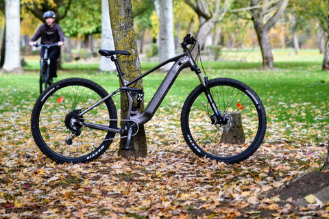 From Madrid: Small-Group Guided E-Bike Tour to El Escorial