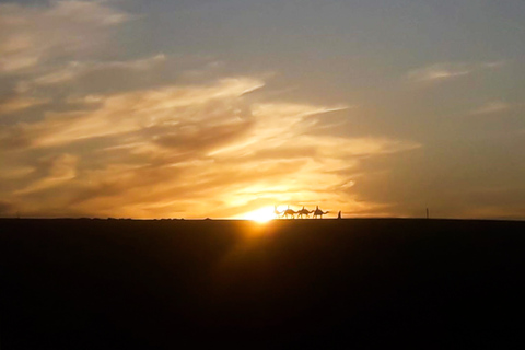 De Marrakech: passeio de camelo ao pôr do sol no deserto de Agafay