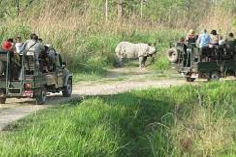 6 night 7 days Kathmandu Pokhara Chitwan Tour6 night 7 days Kathmandu Pokhara Chitwan tour