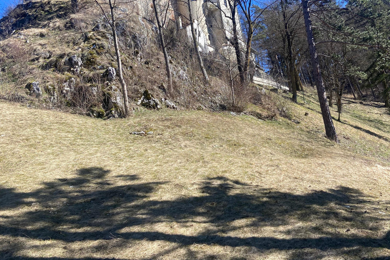 From Brașov: Bran Castle, Bear Sanctuary, & Poiana Brașov
