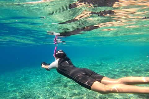 The best French Riviera Underwater scooter tours 2026 - Free
