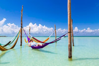 Progreso Isla Columpio e Pig Beach Club Day Pass - Housity
