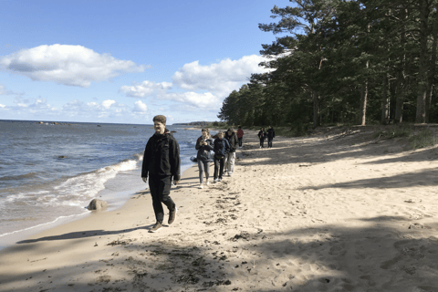 Slow Tour West : Arvo Pärt Centre and Coastal Hikes With sauna session