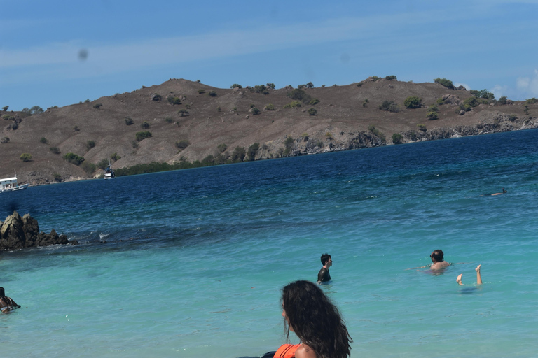 Labuan Bajo: 3-Day Komodo Herping Trip with Snorkeling
