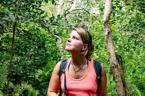 Jozani Forest & Turquoise Waters Turtle Swim at Salaam Cave TOUR WITHOUT HOTEL PICKUP AND DROP OFF