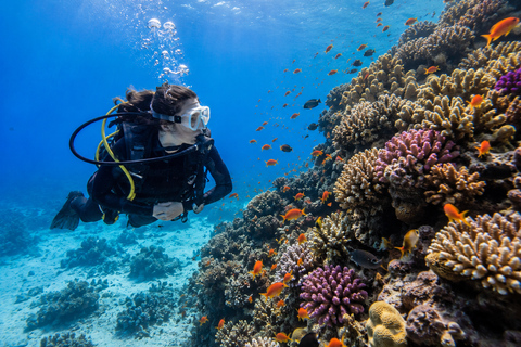 Marsa Alam: Shore Dive Experience w Transfer Beginners: 30 mins
