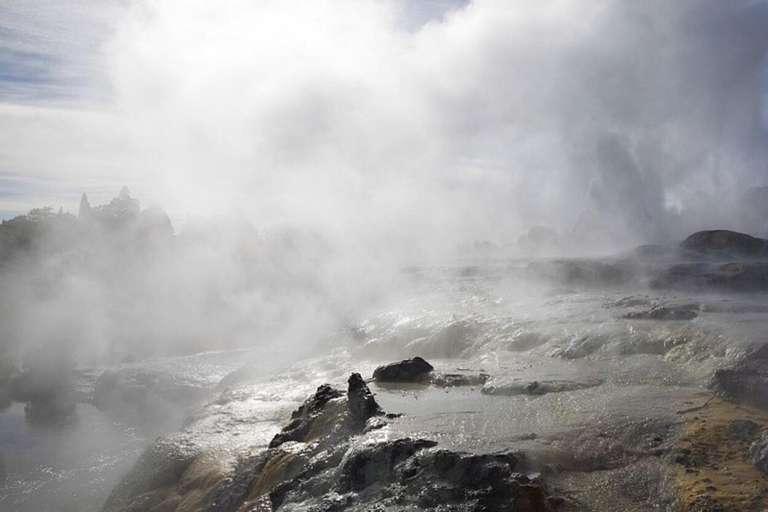 De Auckland: Rotorua Māori Village &amp; Polynesian Spa Tour