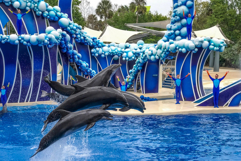 Orlando: Serviço de traslado do SeaWorld